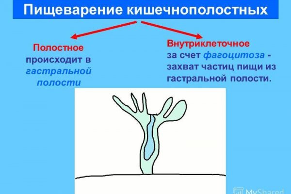 Как вывести деньги с блэк спрут