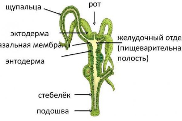 Не работает сайт blacksprut online blacksprut org