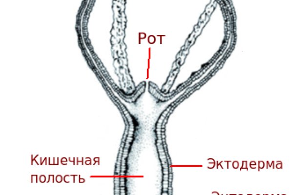 2fa аутентификация blacksprut