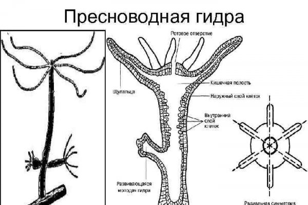 Блэк спрут не работает сегодня почему