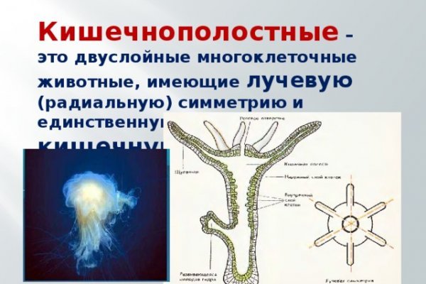 Блэкспрут ссылка тор